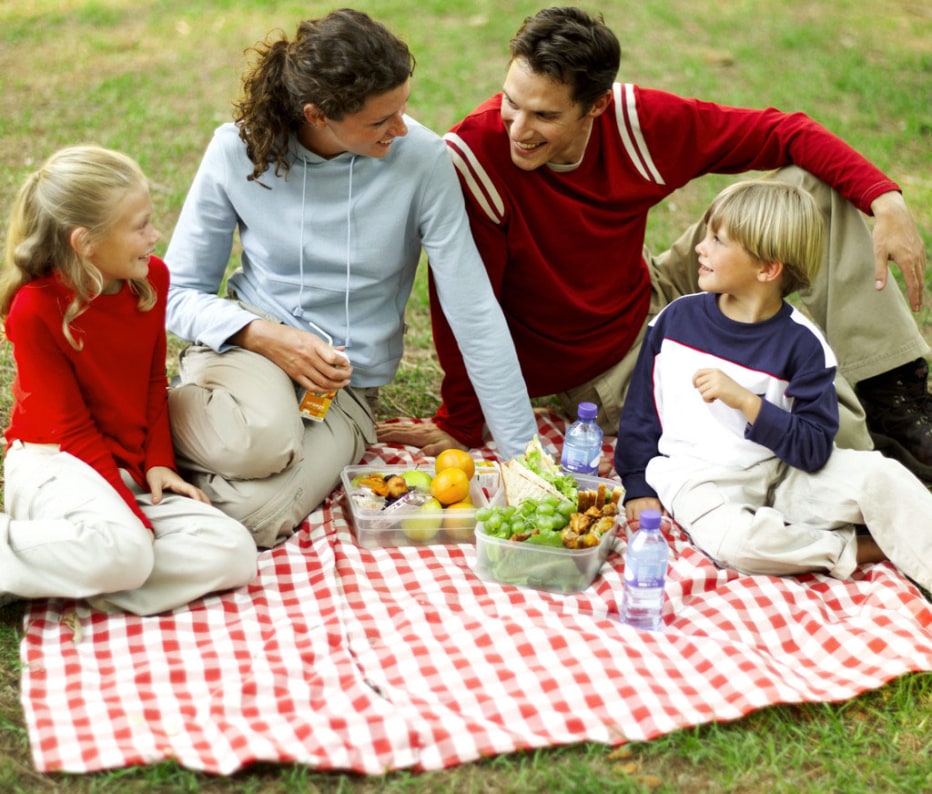 Family Picnic