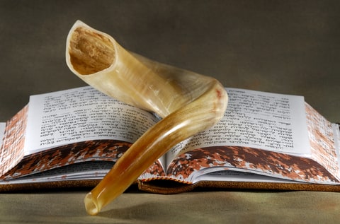 Shofar on Torah